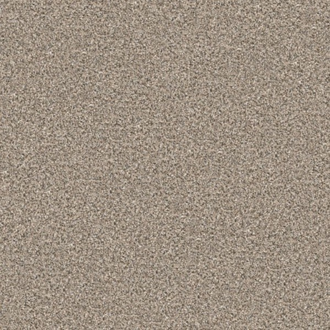 Carpet In stock